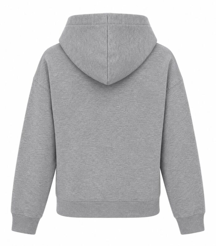 DONDUP felpa colore grigio